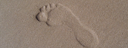 Footprint