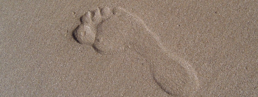 Footprint